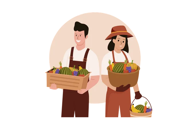 Male and female farmers harvesting fruit  Illustration