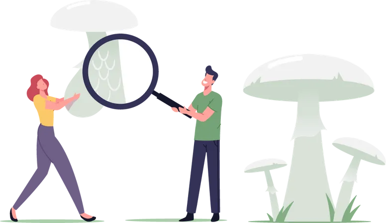 Tiny Male And Female Mushroomer Characters Learning Poisonous Mushroom With Huge Magnifying Glass People Study Edible And Unedible Fungi And Dangerous Plants In Forest Cartoon Vector Illustration イラスト