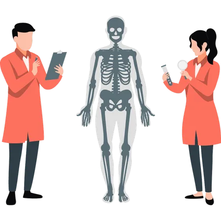 Male and Female Scientists doing research human body anatomy  Illustration