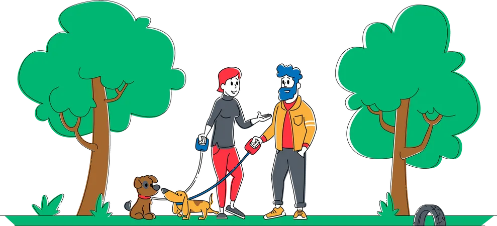 Male and Female Walking with Dogs in Park  Illustration