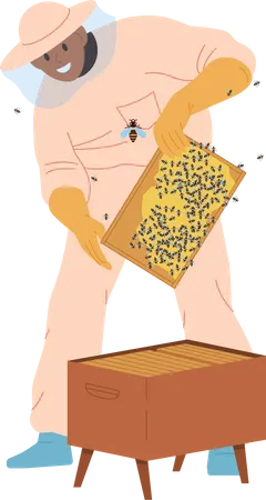 Male beekeeper in protective hat, overalls and gloves holding frame with honeycombs  Illustration