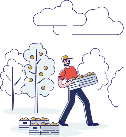Male carrying Oranges box Illustration