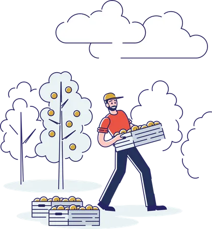 Concept Of Juice Production Male Character Is Working On Plantation Carrying Wooden Box With Oranges To Loading For Further Transportation Cartoon Linear Outline Flat Style Vector Illustration Illustration