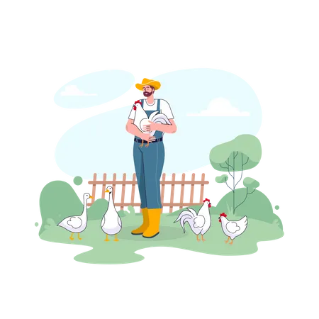 Male chicken farmer managing poultry  イラスト