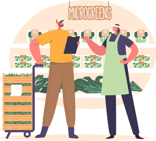 Male Delivering Fresh Microgreens To Local Market Store  Illustration