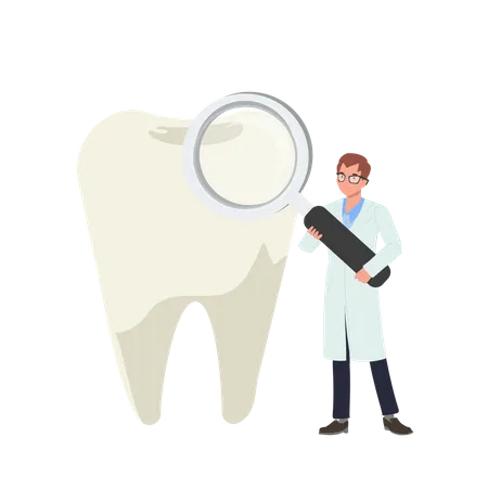 Dental Medical Teeth Checkup Concept Male Dentist With A Big Magify And Teeth Flat Vector Cartoon Illustration Illustration