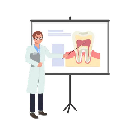 Male Dentist explains about tooth on whiteboard  Illustration