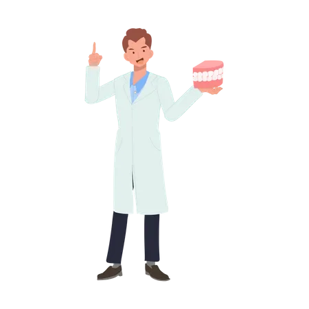 Dental Medical Concept Male Dentist With Mouth Model Is Presenting Or Explaining Suggestion How To Take Care Teeth Flat Cartoon Vector Illustration Illustration