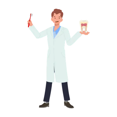 Dental Medical Concept Male Dentist With Toothbrush Is Presenting Or Showing How To Clean Teeth Flat Cartoon Vector Illustration 일러스트레이션