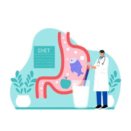 Male Doctor checking diet schedule  Illustration