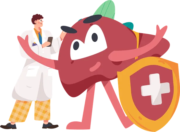 Male doctor checking liver with health insurance  Illustration