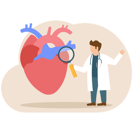 Male doctor doing heart research  Illustration