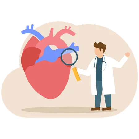 Male doctor doing heart research  Illustration