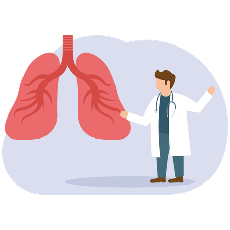 Male Doctor showing lungs  Illustration