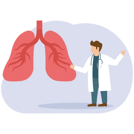 Male Doctor showing lungs  Illustration