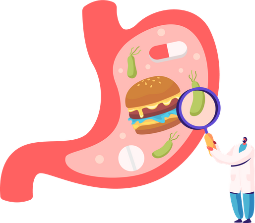 Male Doctor with Magnifying Glass Learning Sick Stomach with Helicobacter Disease  Illustration