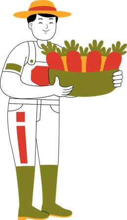 Male Farmer Carrying Carrots  Illustration