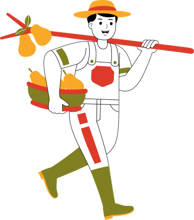 Male Farmer Carrying Pears  Illustration