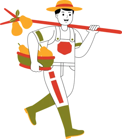 Male Farmer Carrying Pears  Illustration