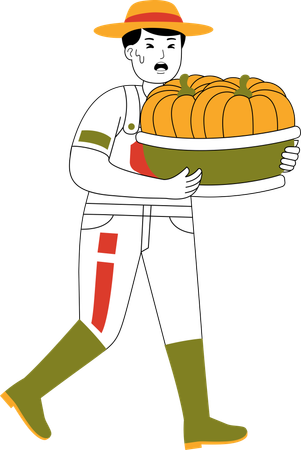Male Farmer Carrying Pumpkins In Basket  Illustration