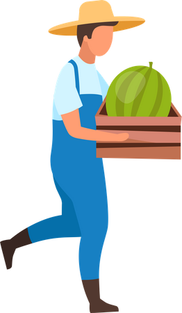 Male farmer carrying ripe watermelon in crate  イラスト