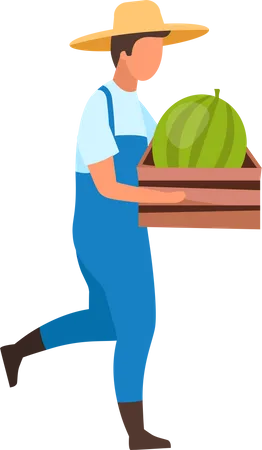 Male farmer carrying ripe watermelon in crate  Illustration