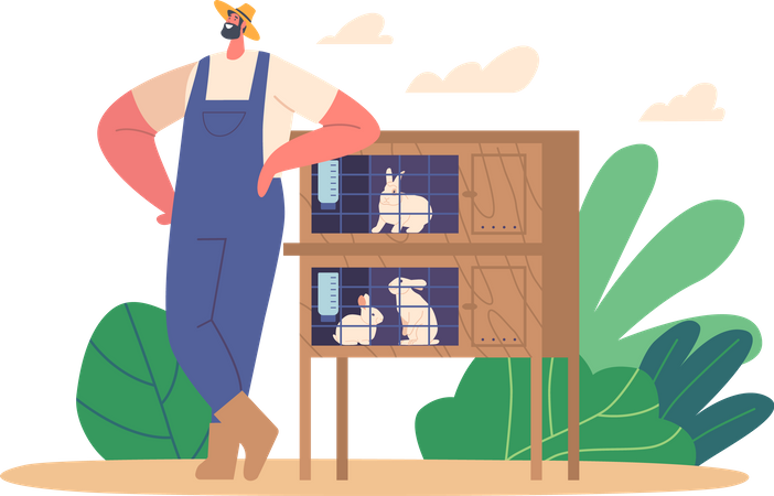 Male Farmer Checks Rabbits In Livestock Pen  イラスト
