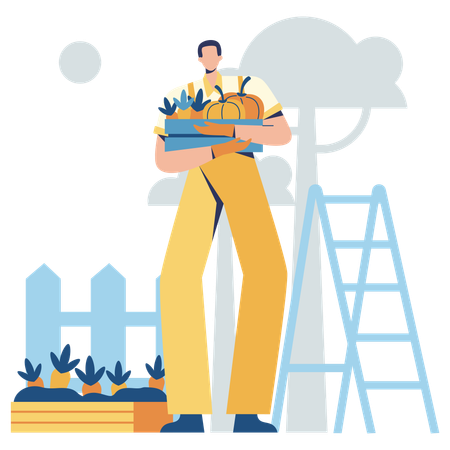Male farmer collecting carrots  Illustration