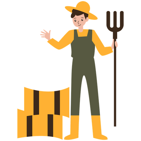 Male farmer collecting haystacks  Illustration