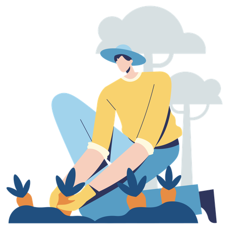 Male farmer collecting  Illustration