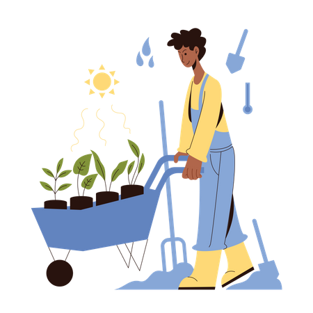 Male farmer doing plantation  Illustration