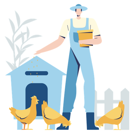 Male Farmer Feeding Chickens farm  Illustration