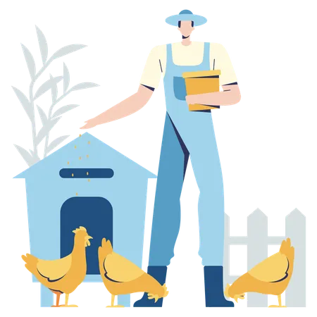 Male Farmer Feeding Chickens farm  Illustration