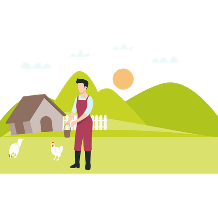 Male farmer feeding chickens  Illustration