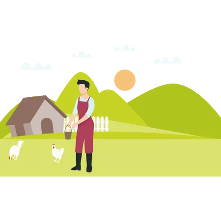 Male farmer feeding chickens  Illustration