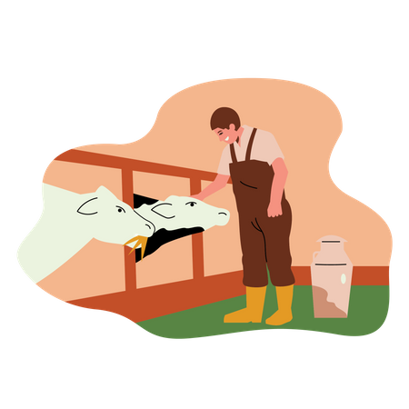 Male farmer Feeding cows  Illustration