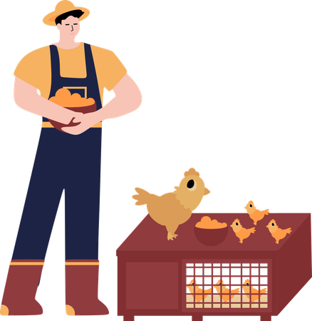 Male Farmer feeding ehns  Illustration