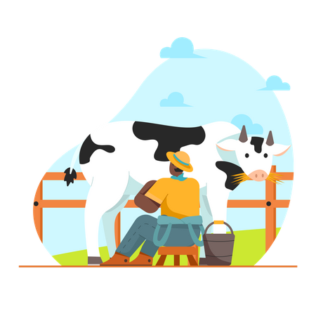 Male farmer gathering Cow Milk  Illustration