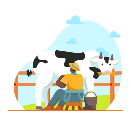 Male farmer gathering Cow Milk Illustration