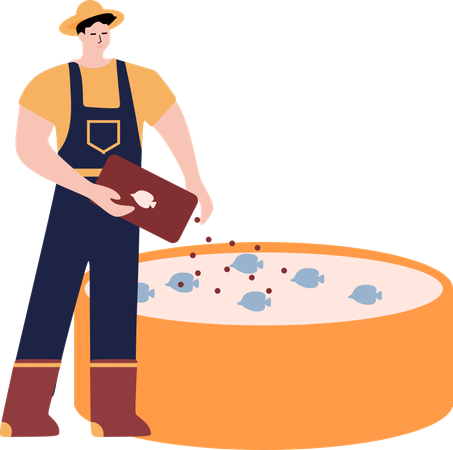 Male farmer giving food to fish  Illustration