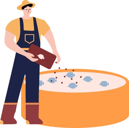 Male farmer giving food to fish  Illustration