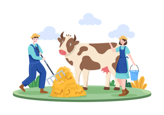 Male farmer giving grass to cow and woman walking with milk bucket  Illustration