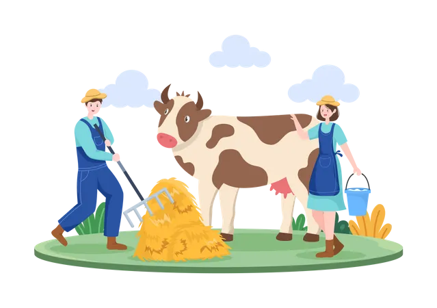 Male farmer giving grass to cow and woman walking with milk bucket  Illustration