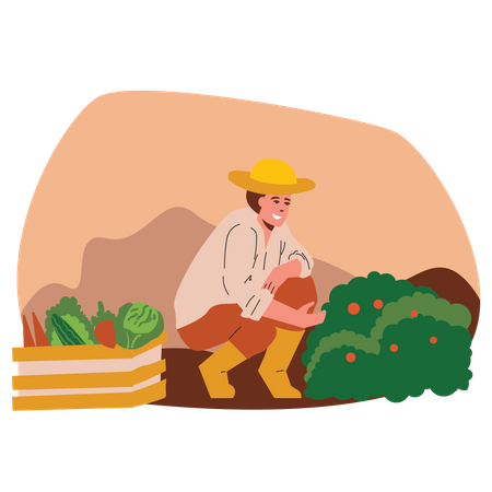Male farmer harvesting fruits  Illustration