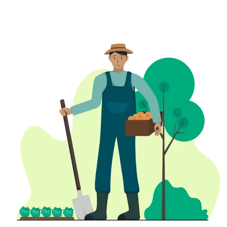 Male farmer harvesting plantation Illustration