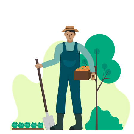 Male farmer harvesting plantation  Illustration