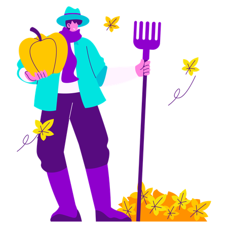 Male farmer Harvesting Pumpkin in Autumn  Illustration