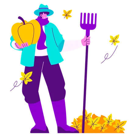 Male farmer Harvesting Pumpkin in Autumn  Illustration