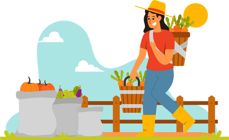 Male Farmer Harvesting Vegetable  Illustration