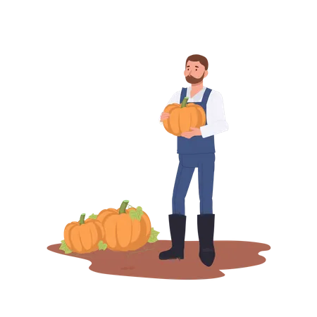 Male farmer holding ripe pumpkin during harvesting in autumn Illustration